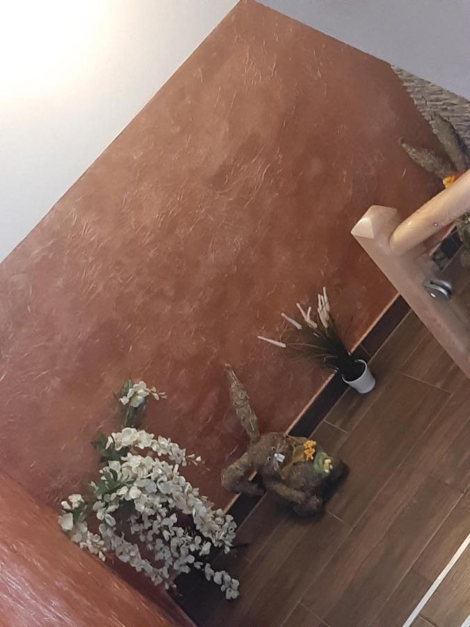 Pokoje U Mrugaly Czerwienne Экстерьер фото